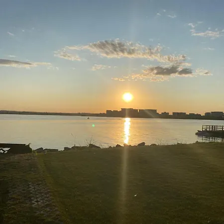 Van Studio * Navodari