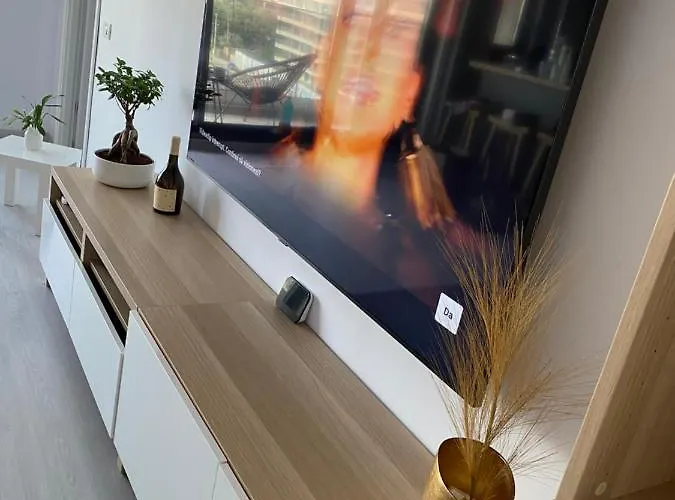 Van Studio * Navodari