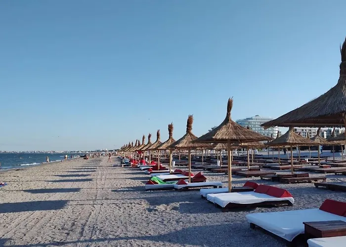 Van Studio * Navodari