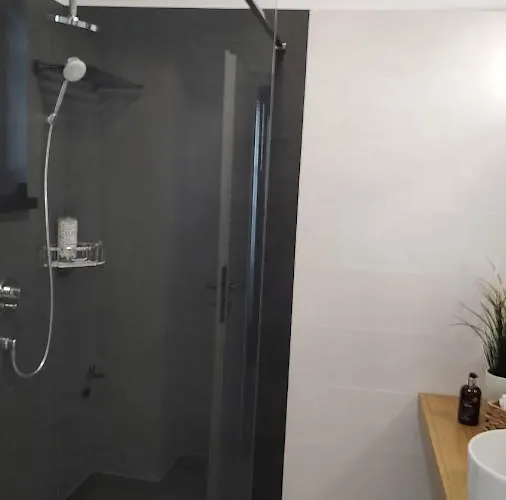 Van Studio * Năvodari