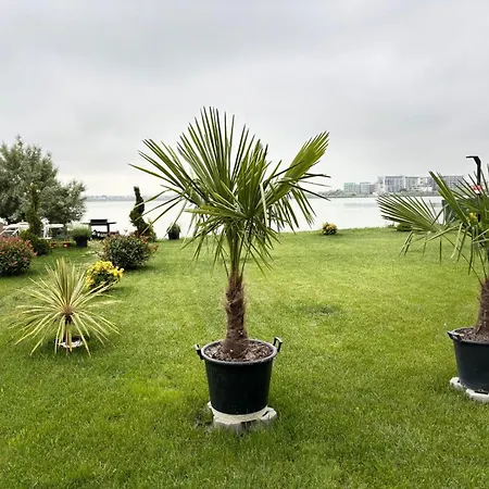 Van Studio Apartament Năvodari