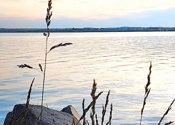 דירה Van Studio Năvodari